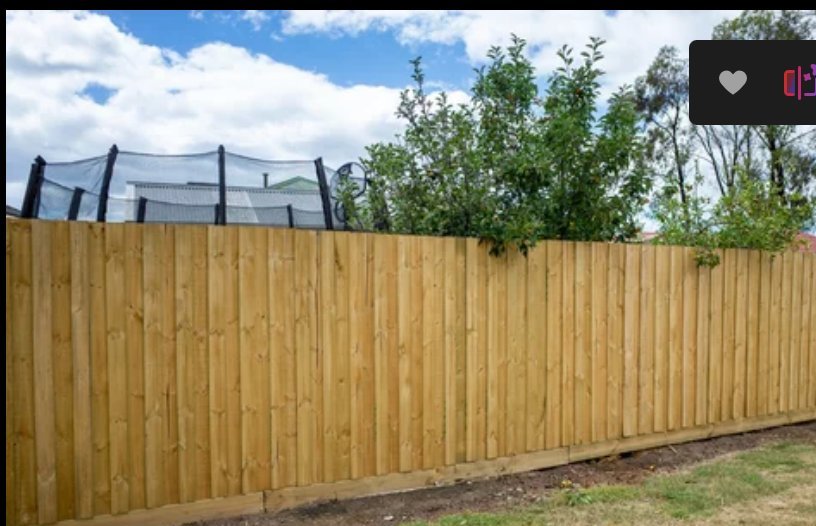 Board on board cedar fence